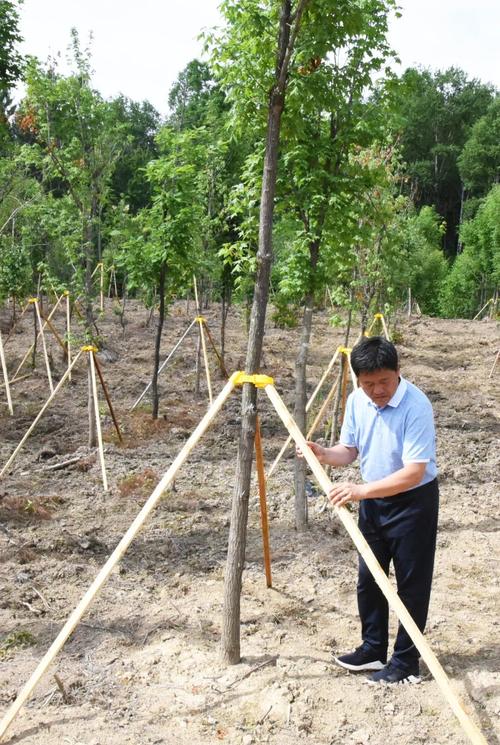 联动效应与通佩盈信息 协同驱动的信息价值放大