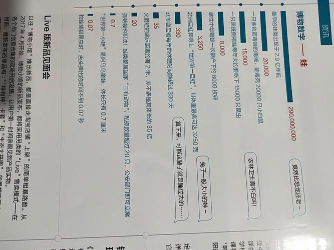 博物数字 通佩盈信息时代的博物馆新篇章